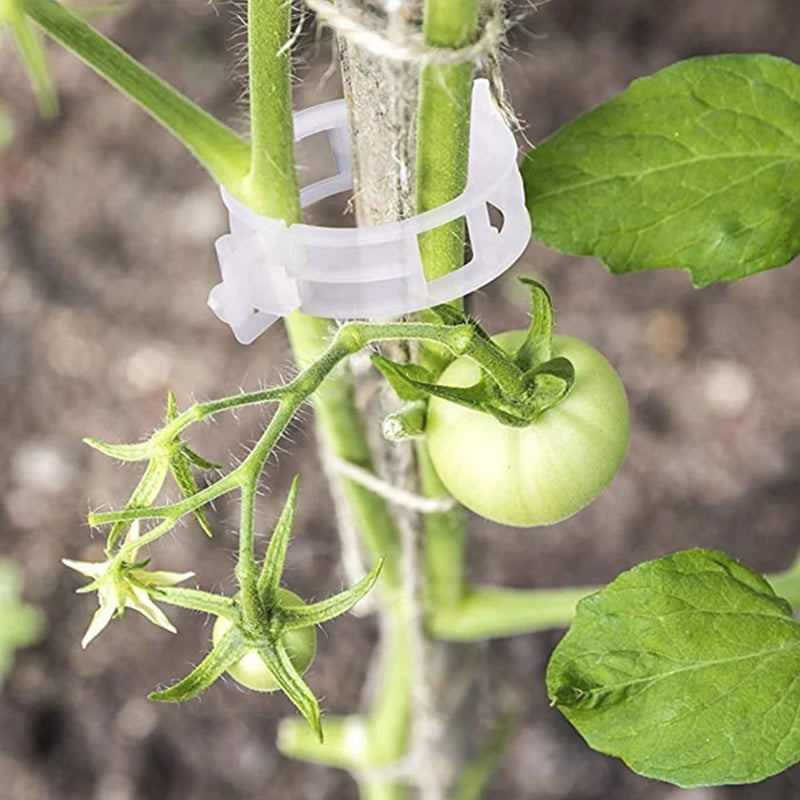 PlantClips - Herbruikbare Plantsteunen En Vastzetclips