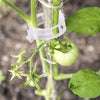 PlantClips - Herbruikbare Plantsteunen En Vastzetclips