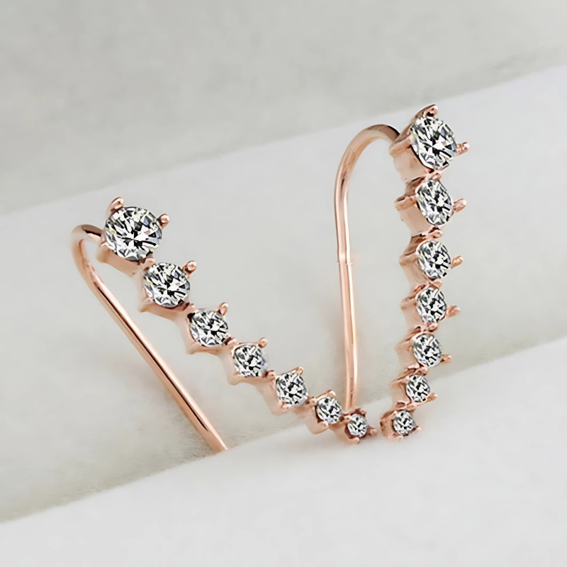 Jewelance™ ClipEarrings 1+1 GRATIS: Lang Elegant Clip-Aan Oorbellen In Cadeau Doos