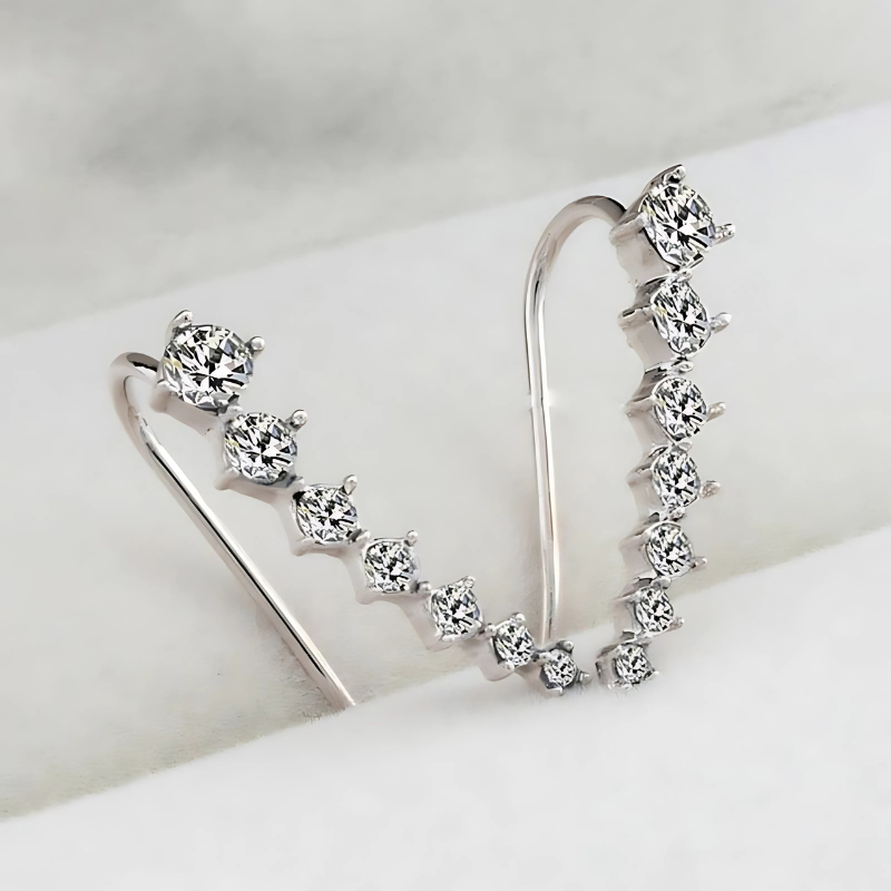 Jewelance™ ClipEarrings 1+1 GRATIS: Lang Elegant Clip-Aan Oorbellen In Cadeau Doos