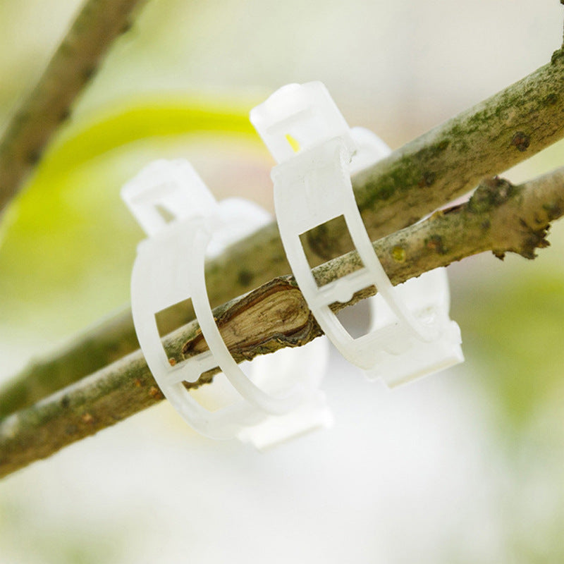 PlantClips - Herbruikbare Plantsteunen En Vastzetclips