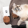 DogCatFri™ PawPrint: Huisdier Paw Frame En Afdrukken Kit