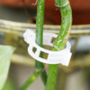 PlantClips - Herbruikbare Plantsteunen En Vastzetclips