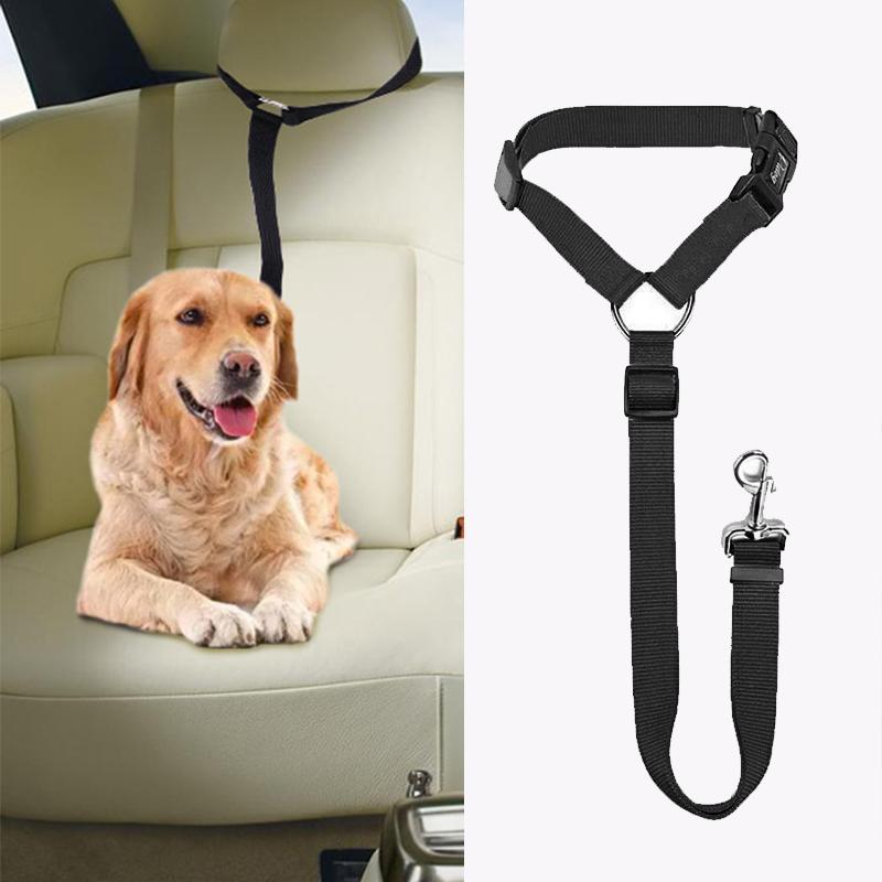 DogCatFri™ CarLeash 1+1 GRATIS: Verstelbaar Veiligheid Huisdier Autostoel Lijn