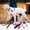 DogCatFri™ CarLeash 1+1 GRATIS: Verstelbaar Veiligheid Huisdier Autostoel Lijn