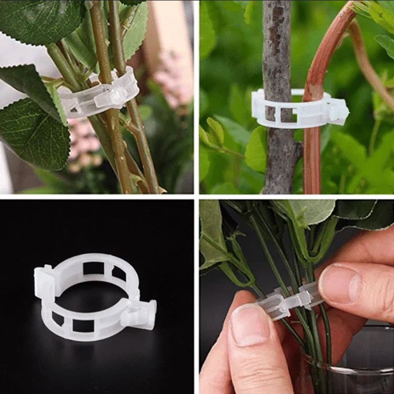 PlantClips - Herbruikbare Plantsteunen En Vastzetclips