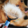 DogCatFri™ PetBrush - Huisdier Verzorging Borstel