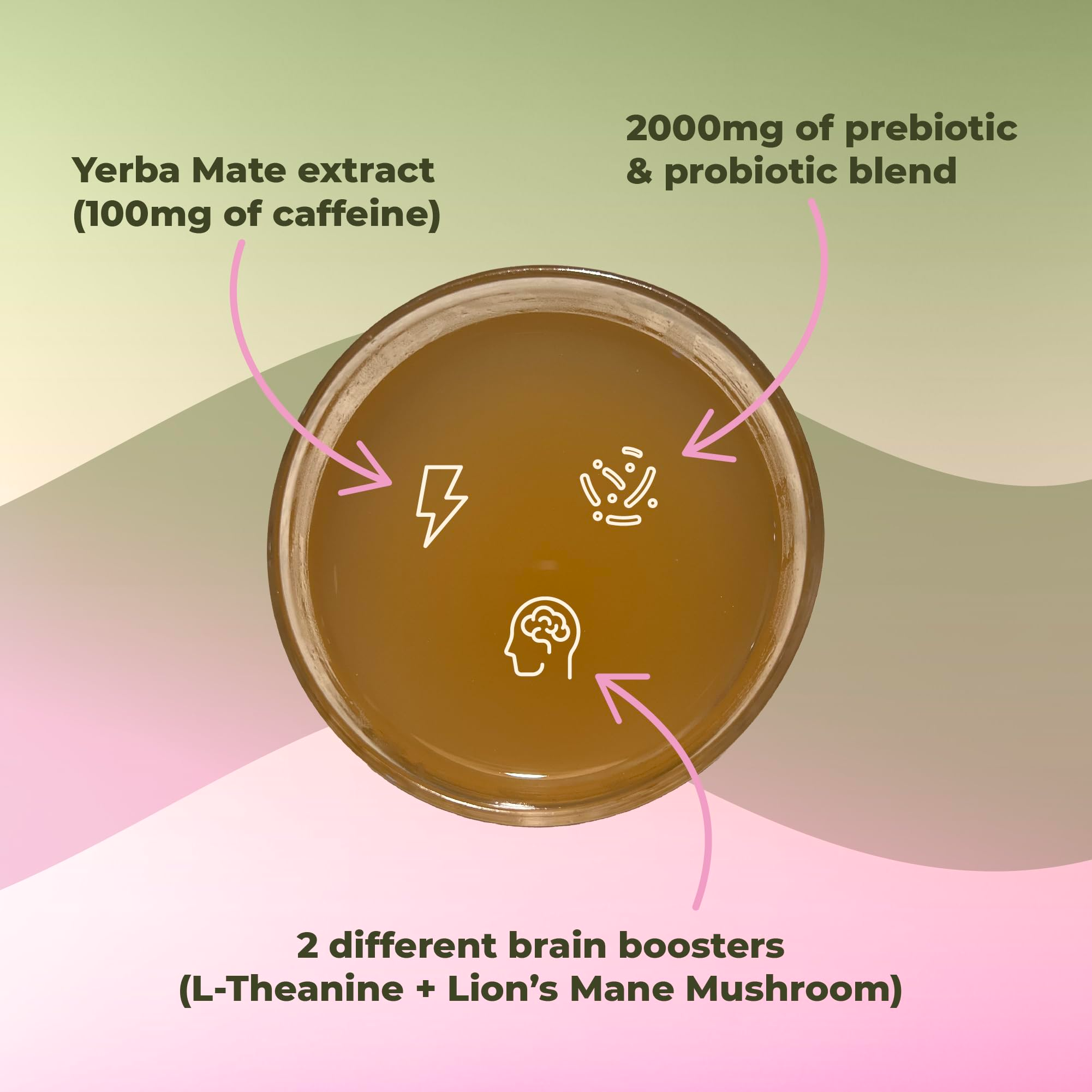 TeaPowder - Energie, Focus En Darmgezondheid Magische Theepoeder