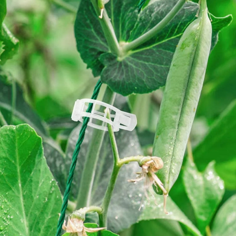 PlantClips - Herbruikbare Plantsteunen En Vastzetclips