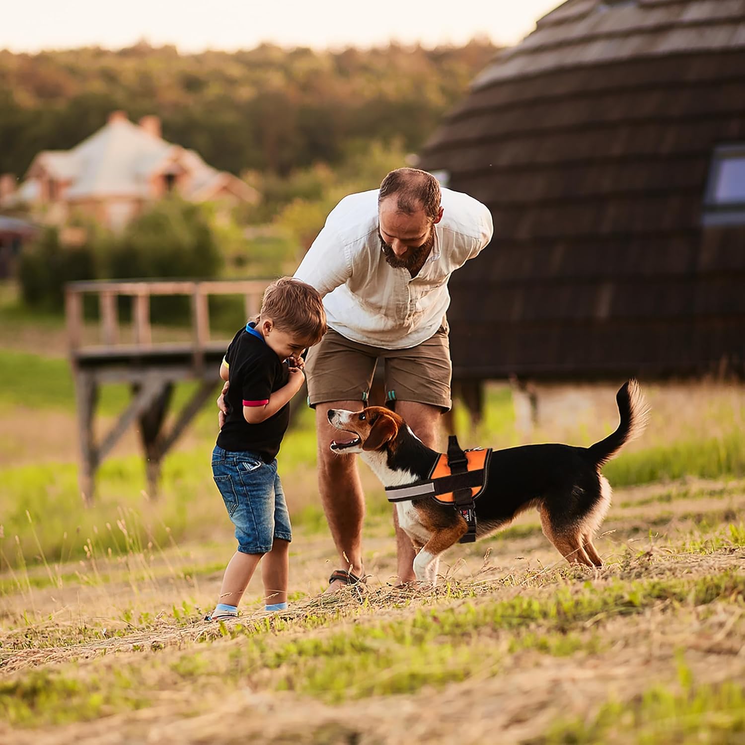 DogFri™ DogHarness: Niet-trekkend Ademend Hond Harnas