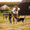 DogFri™ DogHarness: Niet-trekkend Ademend Hond Harnas