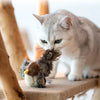 Catfri® BirdToy: Interactieve Tjilpend Vogel Speelgoed Voor Katten