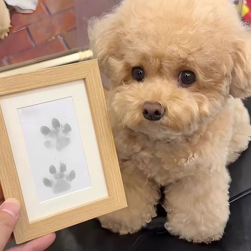 DogCatFri™ PawPrint: Huisdier Paw Frame En Afdrukken Kit