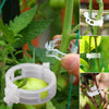 PlantClips - Herbruikbare Plantsteunen En Vastzetclips