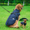 DogFri™ DogJacket: Waterdicht Winter Hond Jasje