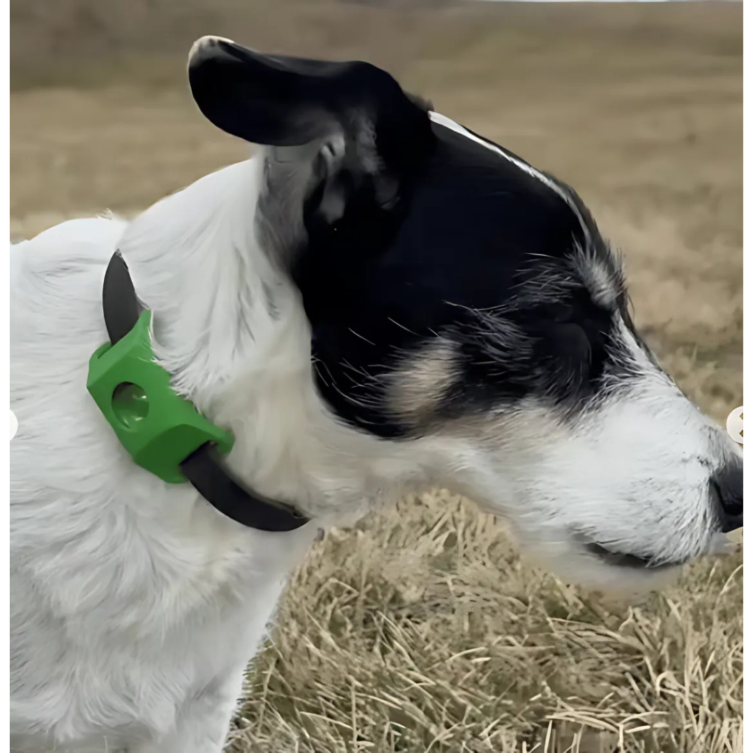 DogCatFri™ Anti-FleaPendant 1+1 GRATIS: Anti-Teken Anti-Vlooien Hanger Bescherming
