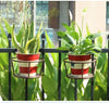 PlantBasket 1+1 GRATIS- Hangend Venster Plant Mand