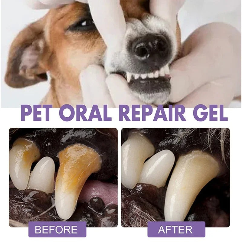 DogCatFri™  DentalPet: Huisdieren Tandheelkundige Reparatie En Reinigen Gel