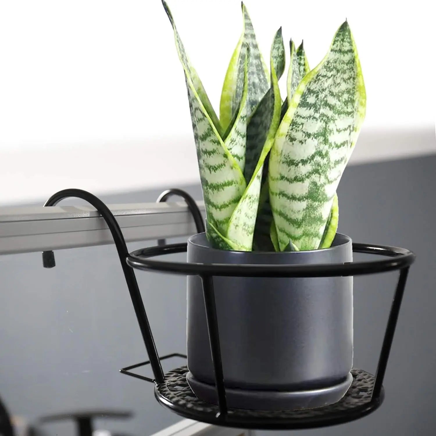 PlantBasket 1+1 GRATIS- Hangend Venster Plant Mand