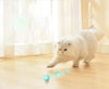 DogCatFri™ HuntingToy - 2 in 1 Gesimuleerd Interactief Jachtspeelgoed