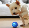 DogCatFri™ InteractiveBall: Oplaadbare Interactieve Huisdier Speelgoed Bal