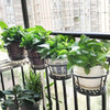 PlantBasket 1+1 GRATIS- Hangend Venster Plant Mand