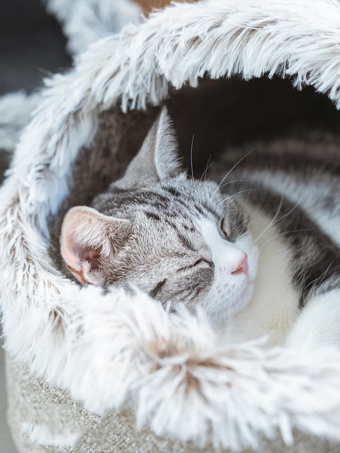 Catfri® CozyCat: Warm en Gezellig Nest Voor Katten