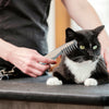 DogCatFri™ PetComb 1+1 GRATIS: Elektrisch Huisdieren Verzorging Kam