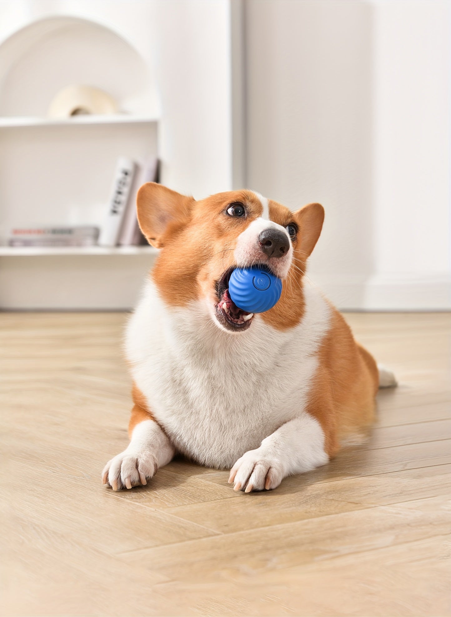 DogCatFri™ HuntingToy - 2 in 1 Gesimuleerd Interactief Jachtspeelgoed