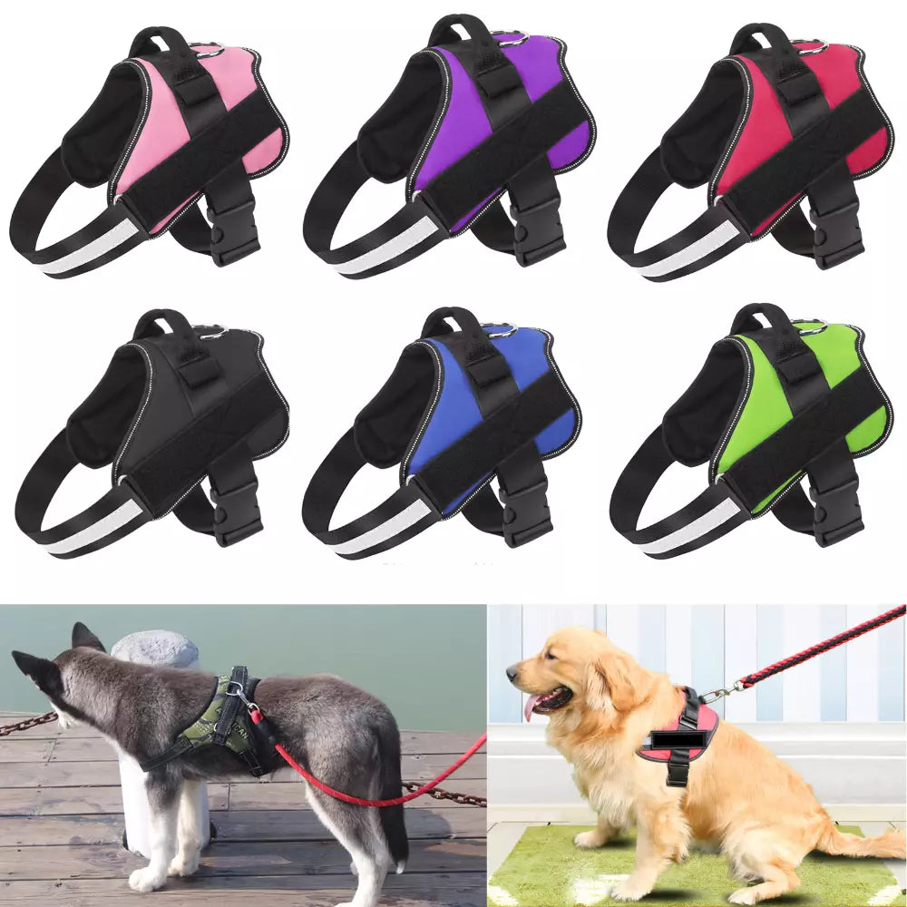 DogFri™ DogHarness: Niet-trekkend Ademend Hond Harnas
