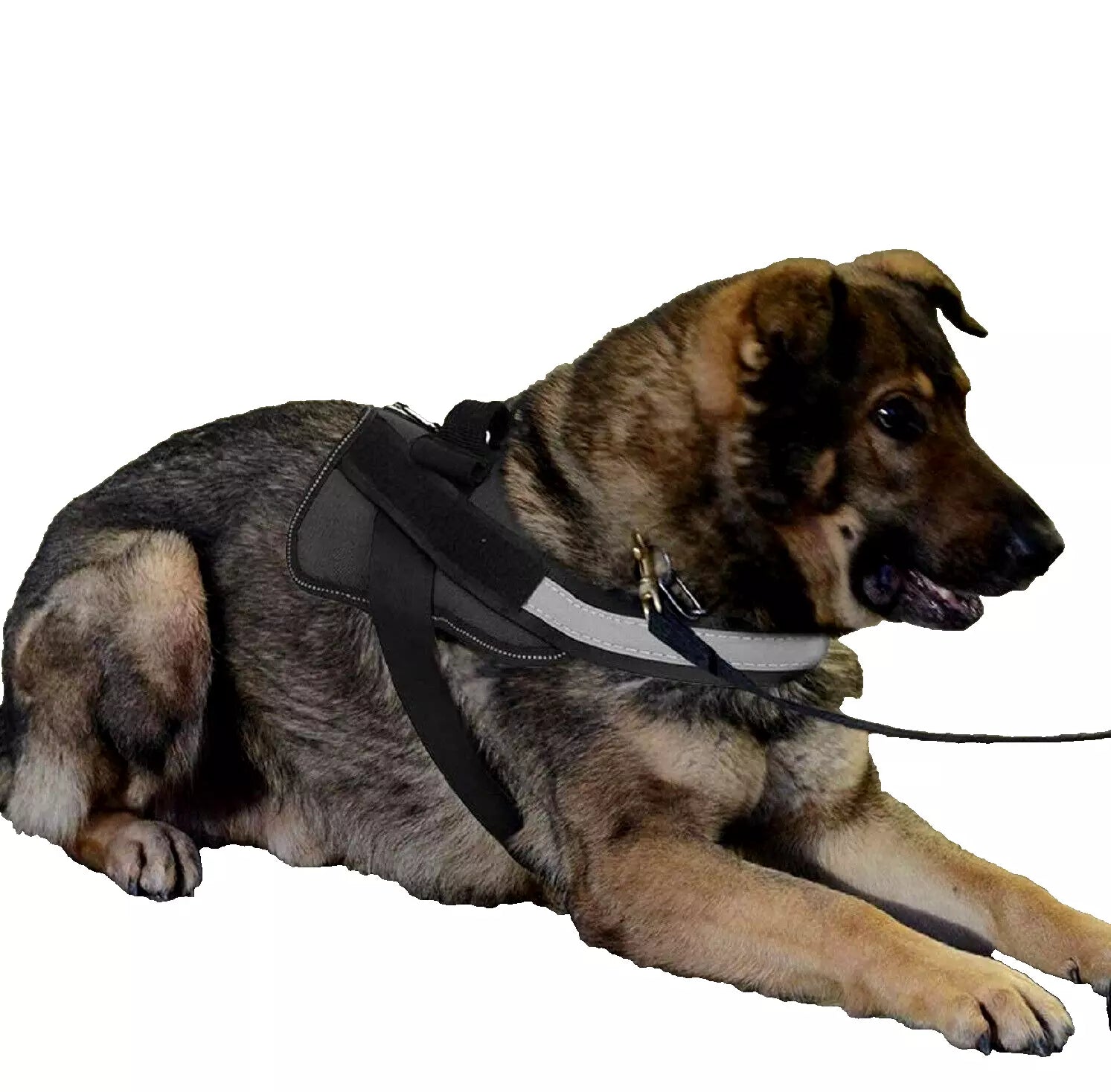 DogFri™ DogHarness: Niet-trekkend Ademend Hond Harnas