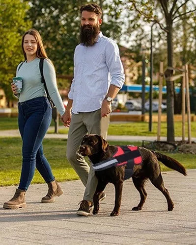 DogFri™ DogHarness: Niet-trekkend Ademend Hond Harnas