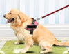 DogFri™ DogHarness: Niet-trekkend Ademend Hond Harnas