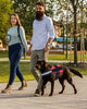 DogFri™ DogHarness: Niet-trekkend Ademend Hond Harnas