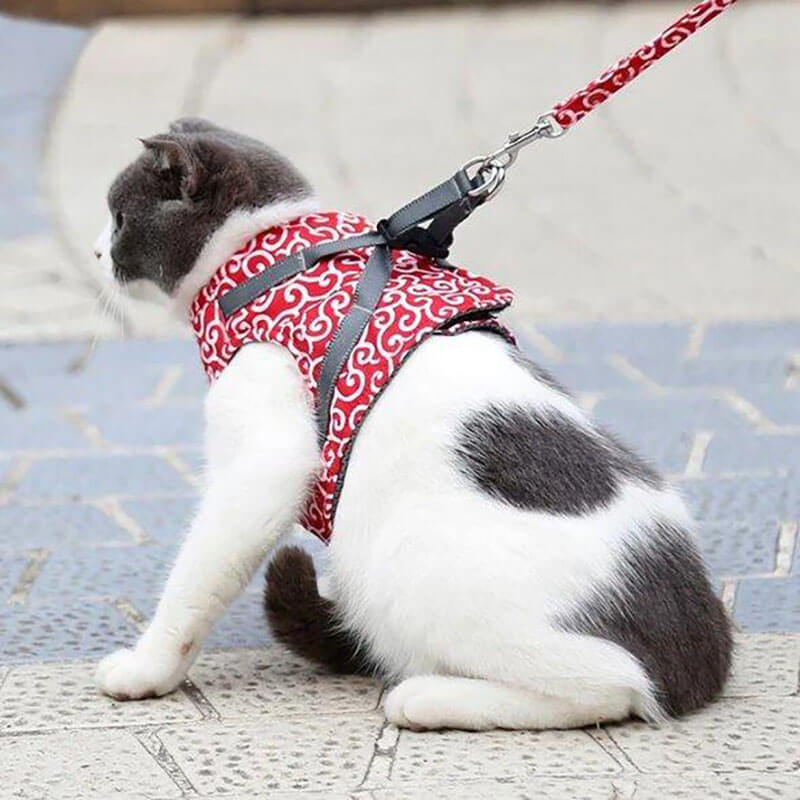 DogCatFri™ Leash - Anti-Break Weg Vest Harnas en Leiband Set